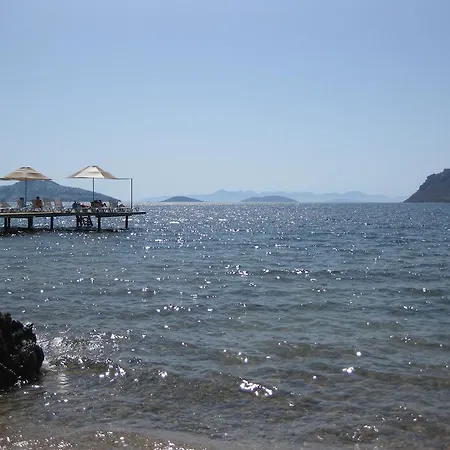 아파트호텔 Platinum Beach *