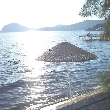 Platinum Beach 얄리카베크