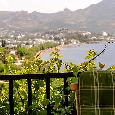 Apart Otel Platinum Beach Yalıkavak